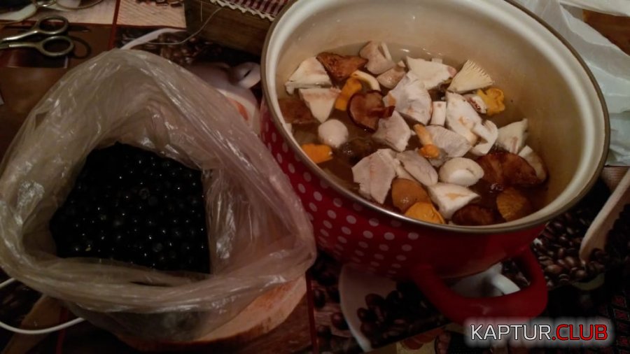 123.jpg | Рено Каптур Клуб Россия | Форум KAPTUR.SU