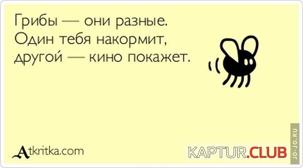 1286433917_card_33.jpg | Рено Каптур Клуб Россия | Форум KAPTUR.SU