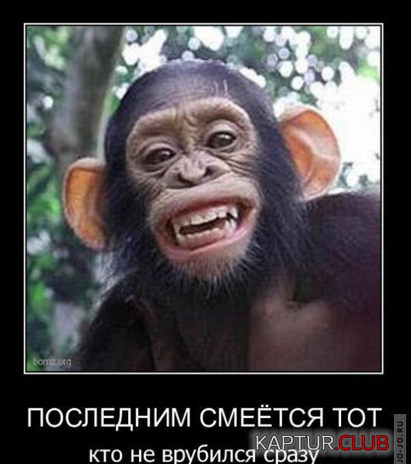 1287556805_demotivatory_33.jpg | Рено Каптур Клуб Россия | Форум KAPTUR.SU