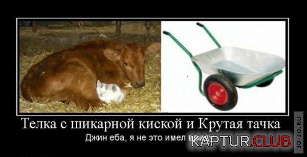 1287643043_demotivatry_39.jpg | Рено Каптур Клуб Россия | Форум KAPTUR.SU