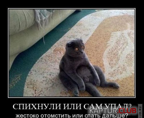 1288597130_dmotivatory_46.jpg | Рено Каптур Клуб Россия | Форум KAPTUR.SU