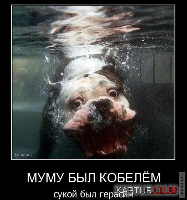 1291743461_demotivatory_18.jpg | Рено Каптур Клуб Россия | Форум KAPTUR.SU