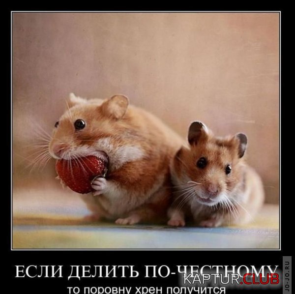 1292599698_demotivatory_32.jpg | Рено Каптур Клуб Россия | Форум KAPTUR.SU