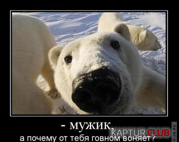 1292830717_demotivatory_07.jpg | Рено Каптур Клуб Россия | Форум KAPTUR.SU