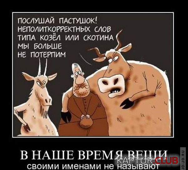 1292831478_demotivatory_37.jpg | Рено Каптур Клуб Россия | Форум KAPTUR.SU