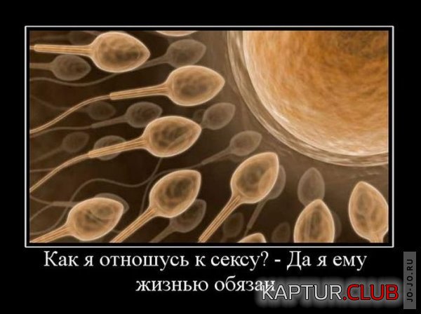 1293090420_demotivb.jpg | Рено Каптур Клуб Россия | Форум KAPTUR.SU