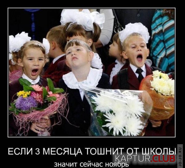 1293683043_demotivatory_24.jpg | Рено Каптур Клуб Россия | Форум KAPTUR.SU