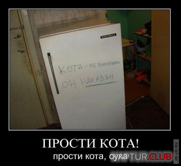 1295236461_demotivatory_42.jpg | Рено Каптур Клуб Россия | Форум KAPTUR.SU
