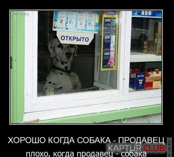 1296552484_demotivatory_24.jpg | Рено Каптур Клуб Россия | Форум KAPTUR.SU