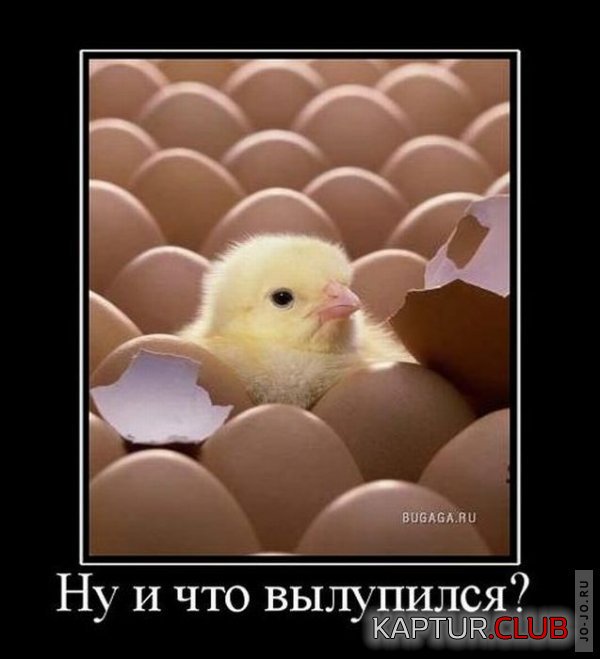 1297073905_demotivatory_34.jpg | Рено Каптур Клуб Россия | Форум KAPTUR.SU