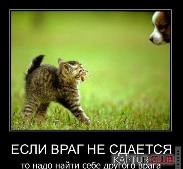 1297230475_demotivatory_06.jpg | Рено Каптур Клуб Россия | Форум KAPTUR.SU