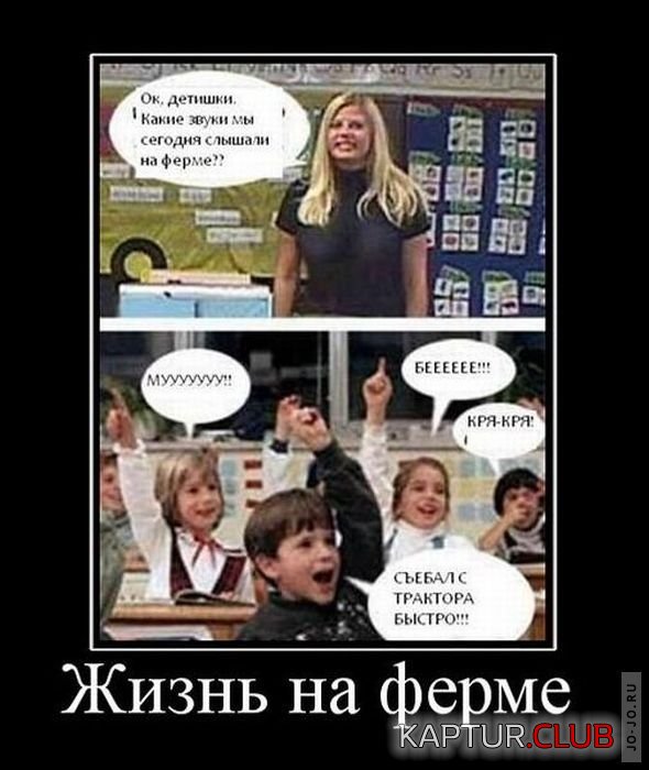 1297683488_demotivatory_50.jpg | Рено Каптур Клуб Россия | Форум KAPTUR.SU