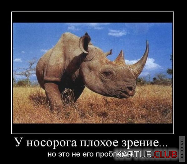 1297743587_demotivatory_26.jpg | Рено Каптур Клуб Россия | Форум KAPTUR.SU