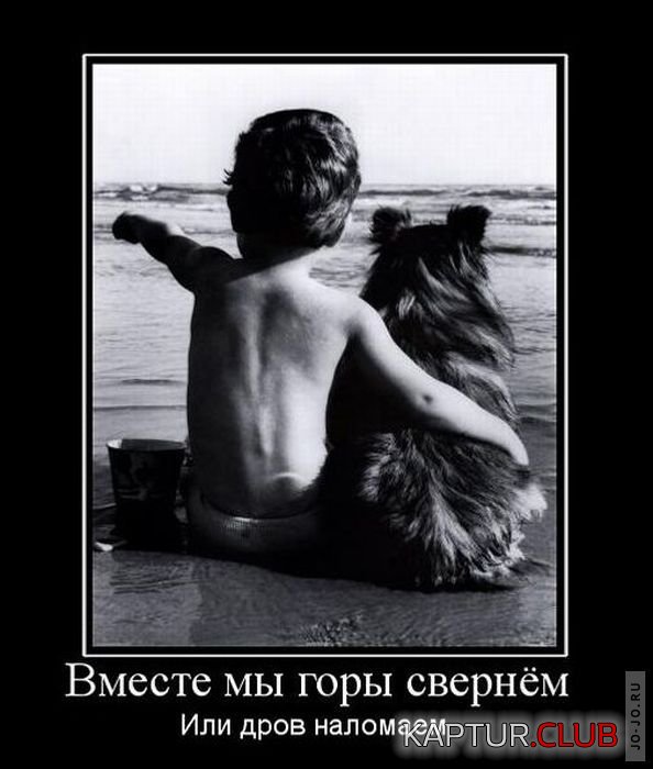 1298276277_demotivatory_15.jpg | Рено Каптур Клуб Россия | Форум KAPTUR.SU