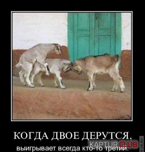 1298349746_demotivatory_51.jpg | Рено Каптур Клуб Россия | Форум KAPTUR.SU