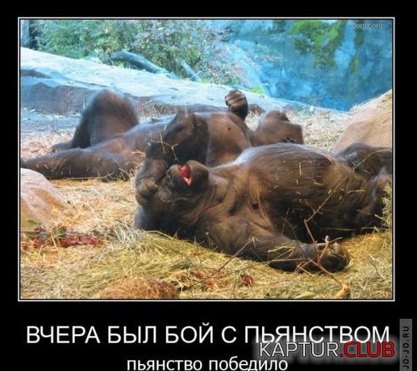 1298953541_demotivatory_44.jpg | Рено Каптур Клуб Россия | Форум KAPTUR.SU