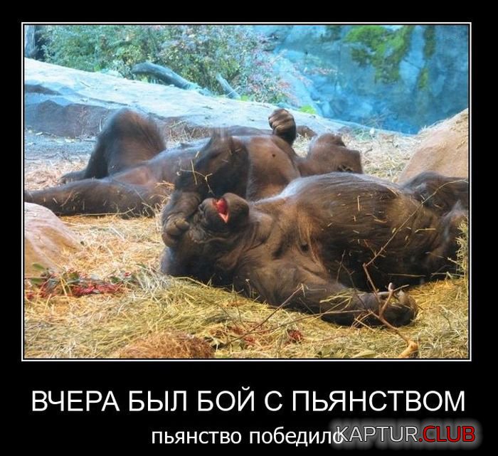 1299100457_dem_40.jpg | Рено Каптур Клуб Россия | Форум KAPTUR.SU
