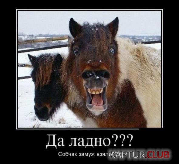 129d9736f30cdba14460d385a27_prev.jpg | Рено Каптур Клуб Россия | Форум KAPTUR.SU