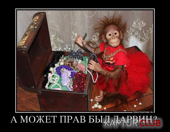 12ed3f90df16a18bf67cf5a13ce_prev.jpg | Рено Каптур Клуб Россия | Форум KAPTUR.SU