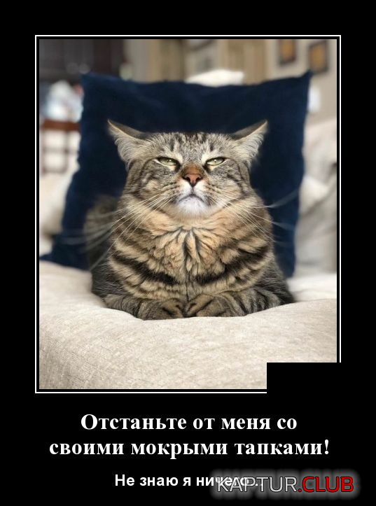 13.png | Рено Каптур Клуб Россия | Форум KAPTUR.SU