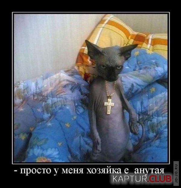 1300939935_demotivatory_06.jpg | Рено Каптур Клуб Россия | Форум KAPTUR.SU