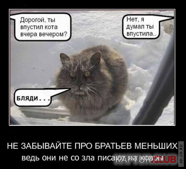 1303787406_demotivatory_08.jpg | Рено Каптур Клуб Россия | Форум KAPTUR.SU