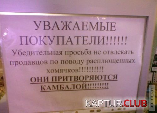 1312525978_marazm_na_zabore_23.jpg | Рено Каптур Клуб Россия | Форум KAPTUR.SU