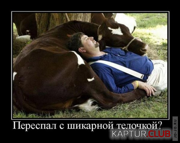1313042470_demotivatory_05.jpg | Рено Каптур Клуб Россия | Форум KAPTUR.SU