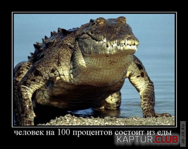 1313735366_demotivatory_28.jpg | Рено Каптур Клуб Россия | Форум KAPTUR.SU