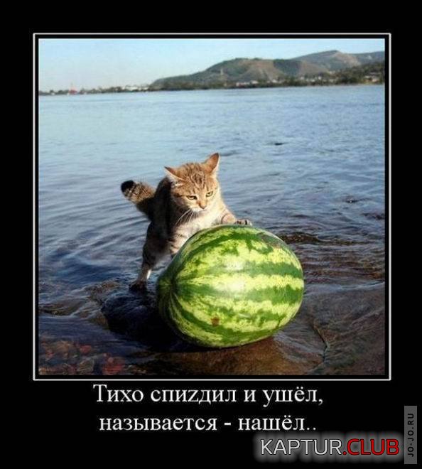 1314262452_1314256208_32.jpg | Рено Каптур Клуб Россия | Форум KAPTUR.SU