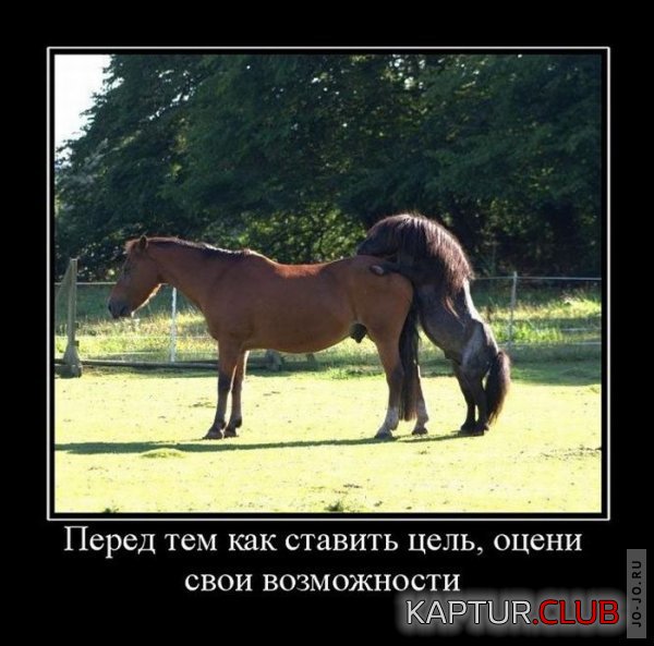 1314340172_demotivatory_06.jpg | Рено Каптур Клуб Россия | Форум KAPTUR.SU