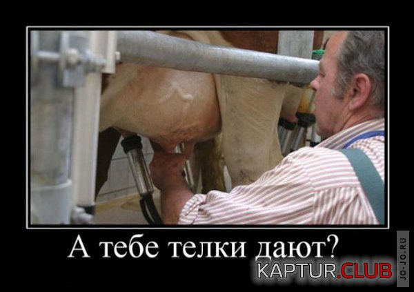 1314606219_demotivatory_30.jpg | Рено Каптур Клуб Россия | Форум KAPTUR.SU