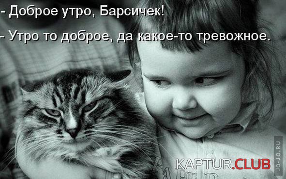 1316512170_1316467383_1316283549_352352.jpg | Рено Каптур Клуб Россия | Форум KAPTUR.SU