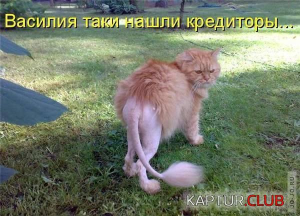 1316512200_1316467349_1316283547_16.jpg | Рено Каптур Клуб Россия | Форум KAPTUR.SU