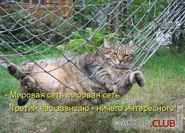 1316512203_1316467324_1316283556_01.jpg | Рено Каптур Клуб Россия | Форум KAPTUR.SU