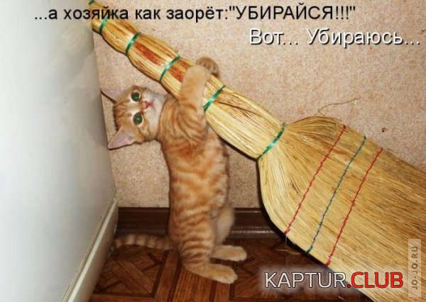 1316512220_1316467477_1316283549_1315060358_917381.jpg | Рено Каптур Клуб Россия | Форум KAPTUR.SU