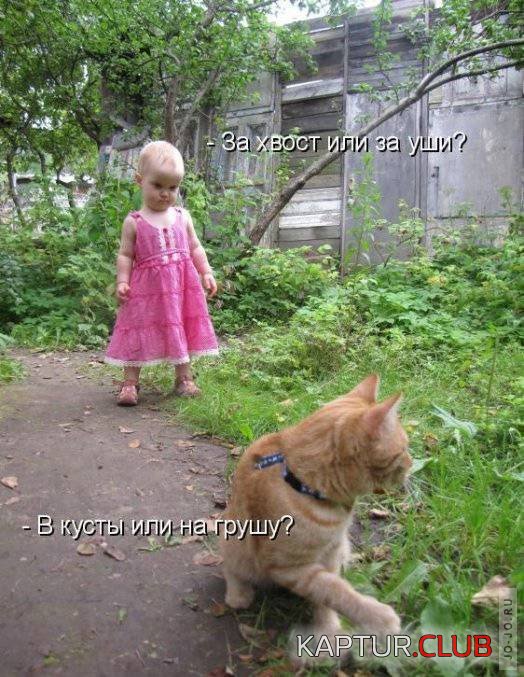 1316512242_1316467696_1316283583_1315060426_972302.jpg | Рено Каптур Клуб Россия | Форум KAPTUR.SU