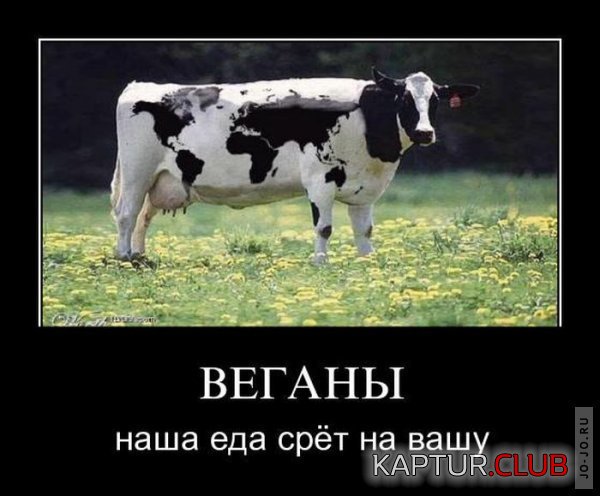1316589003_demotivatory_28.jpg | Рено Каптур Клуб Россия | Форум KAPTUR.SU
