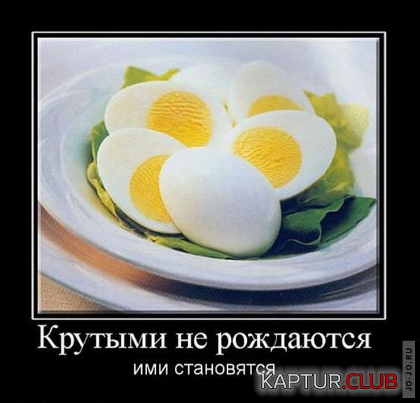 1317191828_demotivatory_07.jpg | Рено Каптур Клуб Россия | Форум KAPTUR.SU