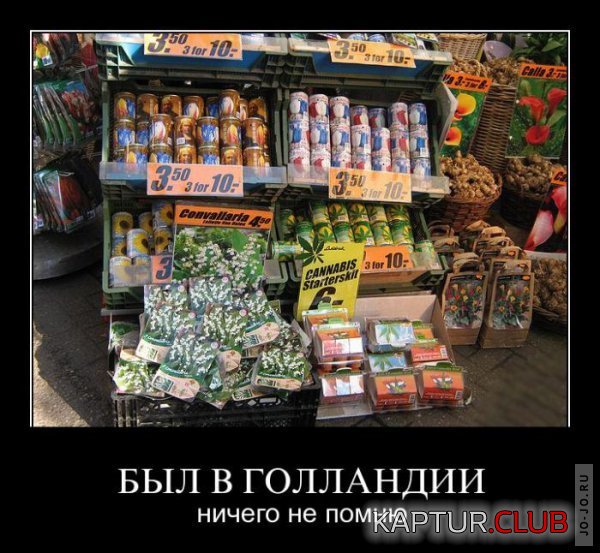 1317277252_demotivatory_02.jpg | Рено Каптур Клуб Россия | Форум KAPTUR.SU
