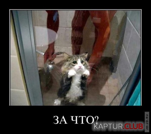 1318406158_demotivatory_24.jpg | Рено Каптур Клуб Россия | Форум KAPTUR.SU