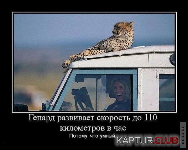 1318490471_demotivatory_03.jpg | Рено Каптур Клуб Россия | Форум KAPTUR.SU