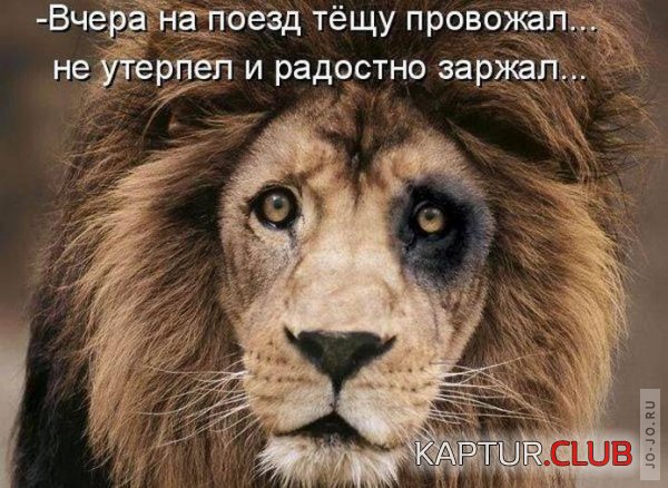 1318665424_1318545603_42.jpg | Рено Каптур Клуб Россия | Форум KAPTUR.SU