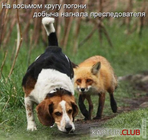 1318665432_1318545521_32.jpg | Рено Каптур Клуб Россия | Форум KAPTUR.SU