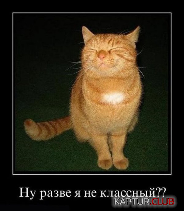 1321964741_demotivatory_26.jpg | Рено Каптур Клуб Россия | Форум KAPTUR.SU