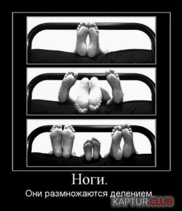 1322482724_demotivatory_13.jpg | Рено Каптур Клуб Россия | Форум KAPTUR.SU