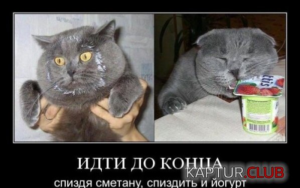 1322482803_demotivatory_18.jpg | Рено Каптур Клуб Россия | Форум KAPTUR.SU