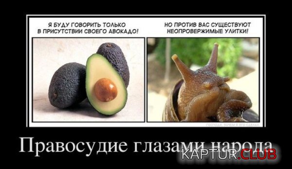 1322482836_demotivatory_21.jpg | Рено Каптур Клуб Россия | Форум KAPTUR.SU