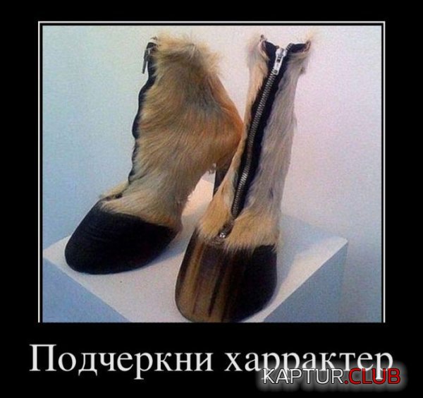 1322554547_demotivatory_29.jpg | Рено Каптур Клуб Россия | Форум KAPTUR.SU