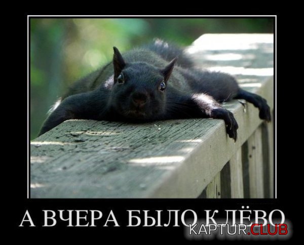 1322643147_demotivatory_24.jpg | Рено Каптур Клуб Россия | Форум KAPTUR.SU